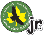 Logo for Junior Ranger program