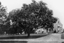 Image of Before They Were Parks