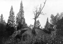 Image of 1911 Shot of Split Rock Road in Pelham Bay Park, Site of Anne Hutchinson�s Death