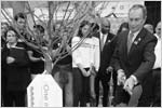 Mayor Bloomberg Planting a tree