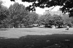 Image of The Earliest New York City Parks