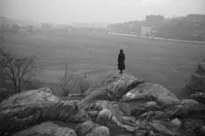 A lone figure stands on an outcrop, surveying a large meadow in a park