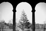 Holiday Celebrations in Parks