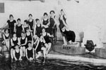 Image of Parks' Swimming Pools