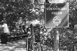 Image of Strawberry Fields Forever