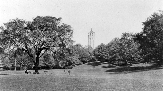 The Long Meadow in Prospect Park, looking north, circa 1897. Neg. AR1242 Image of The Long Meadow in Prospect Park, looking north, circa 1897. Neg. AR1242