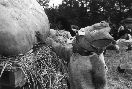 Photograph of a child in costume and pumpkin