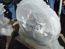 Thumbnail of ice sculpture Links to Photo Journal 