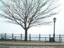 Photo of City Island Park in the Bronx Links to Photo Journal  3/15/02 through 3/21/02 index page