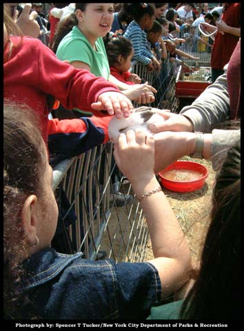 03-30-02_easter_eggstravaganza_central_park_03