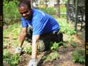 Photo of gardener in Theodore Roosevelt park in Manhattan links to photo journal 4/20/02 through 4/26/02