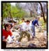 Photo journal thumbnail image links to page with larger version of