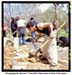 Photo journal thumbnail image links to page with larger version of
