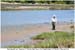 Photo journal thumbnail image links to page with larger version of