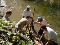 Photo of interns cleaning a river