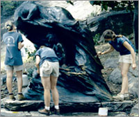 Photo of conservation interns