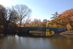 The Lullwater Bridge in Prospect Park is a popular photo shoot spot for cuddly couples.