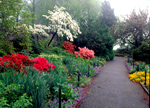 Lovebirds can lose themselves in the misty Heather Garden at Fort Tryon Park and forget they�re in the city.