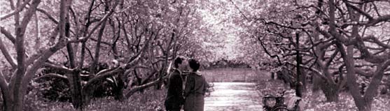 A couple kiss under the trees in the Conservatory Garden in Central Park