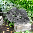 Richard Baronio, Spotted Leaf