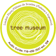 Katie Holten, Tree Museum