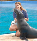 Image of Zoos and Aquariums