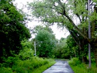 Conference House Greenway image