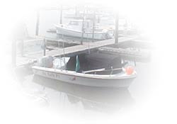 Boat docked in a marina