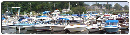 Boats docked at a marina