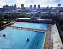 Image of Meryl Meisler High Bridge Pool