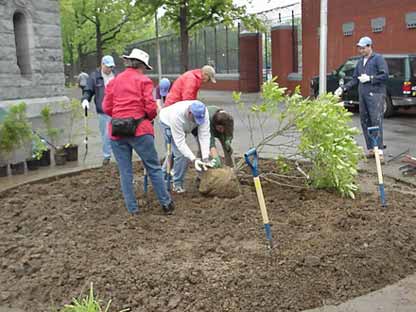 Volunteers planting at the water tower terrace
