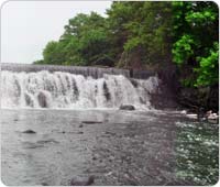 Bronx River Waterfall
