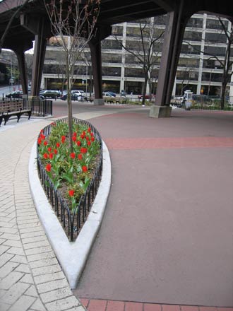 Image of Drumgoole Plaza in the spring