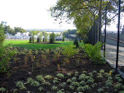 East River Park