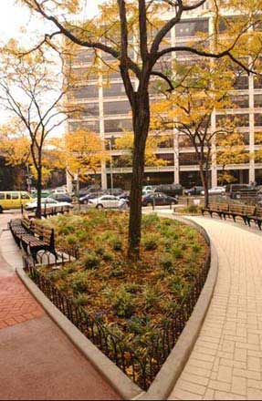 Image of Drumgoole Plaza