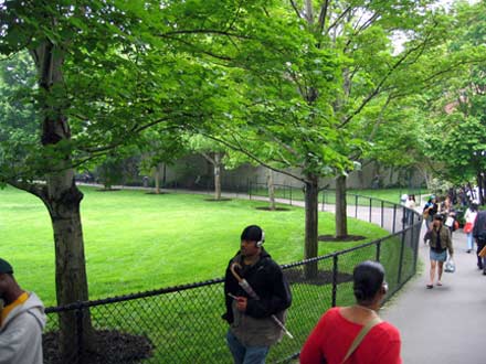 Photograph of Washington Market Park