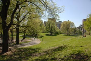 A lone park-goer relaxes on a hill overlooking grass and large trees in Fort Green Park