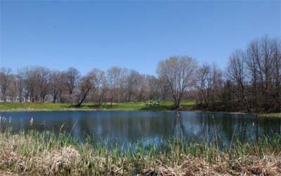 Theodore Roosevelt Park