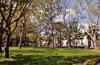 Tappen Park 