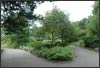 Heather Garden