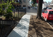 New york city trees and sidewalk program