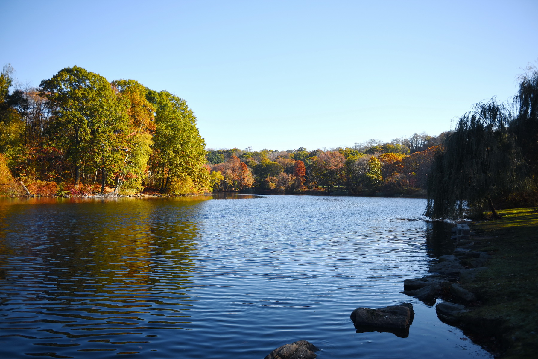 Image result for Van Cortlandt ParkÂ fall