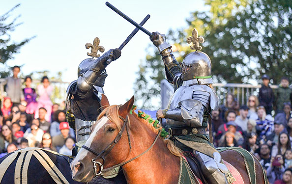 knights in horseback participate in a joust