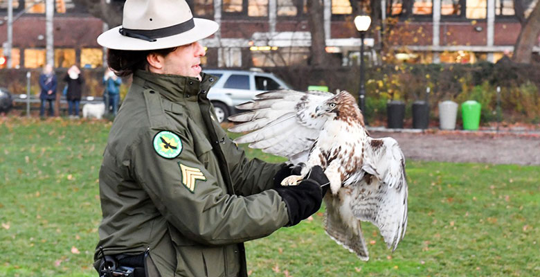 Urban Park Rangers : NYC Parks