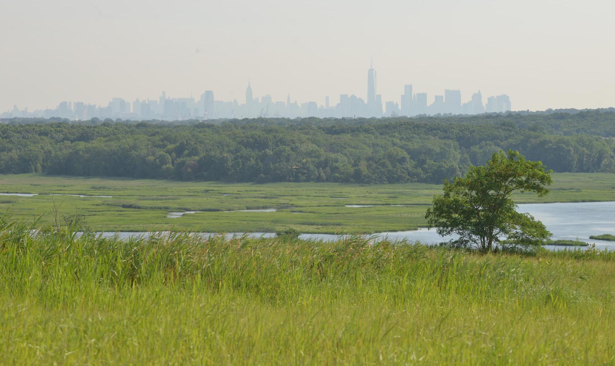 Parks You Must Visit on Staten Island : NYC Parks