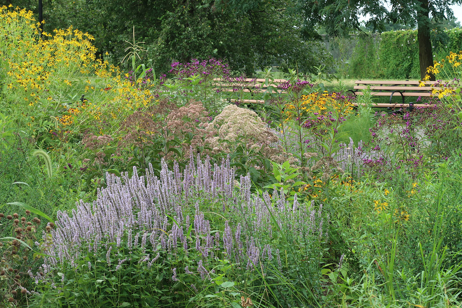 Pollinator Place Gardens : Nyc Parks