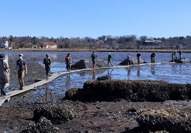 How NYC Parks Fights Climate Change: Restoring And Protecting Our ...