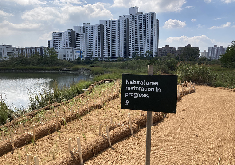 How NYC Parks Fights Climate Change: Cleaning Our Water And Protecting ...