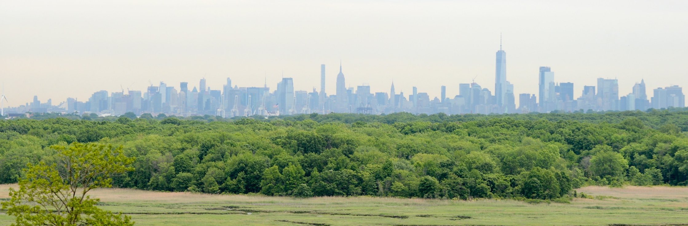 Climate Week NYC NYC Parks