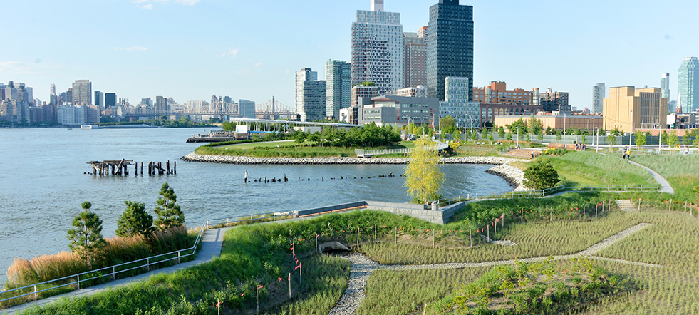 Learning Hub : NYC Parks